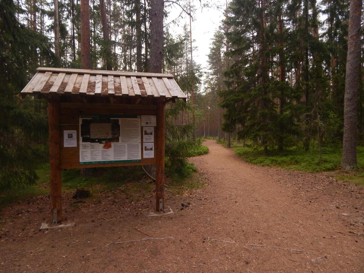 Haaviku Nature Cottage Tepelvalja Buitenkant foto