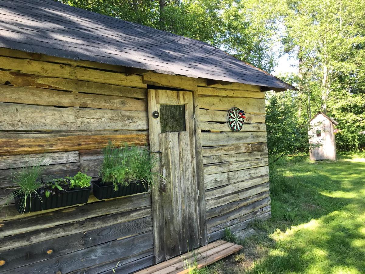 Haaviku Nature Cottage Tepelvalja Buitenkant foto