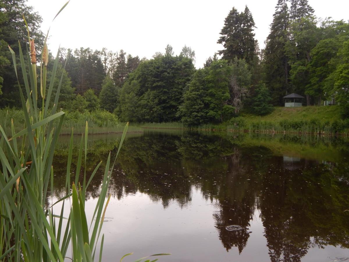 Haaviku Nature Cottage Tepelvalja Buitenkant foto