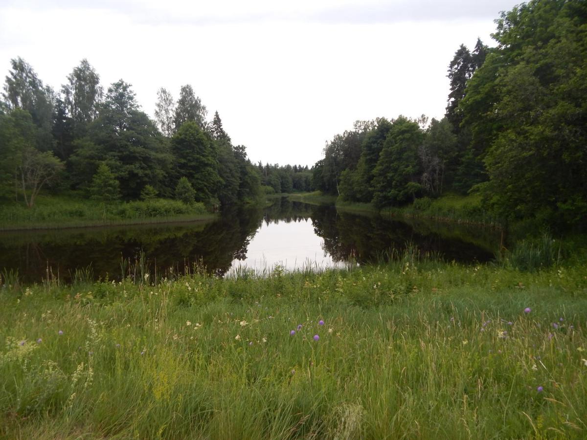 Haaviku Nature Cottage Tepelvalja Buitenkant foto