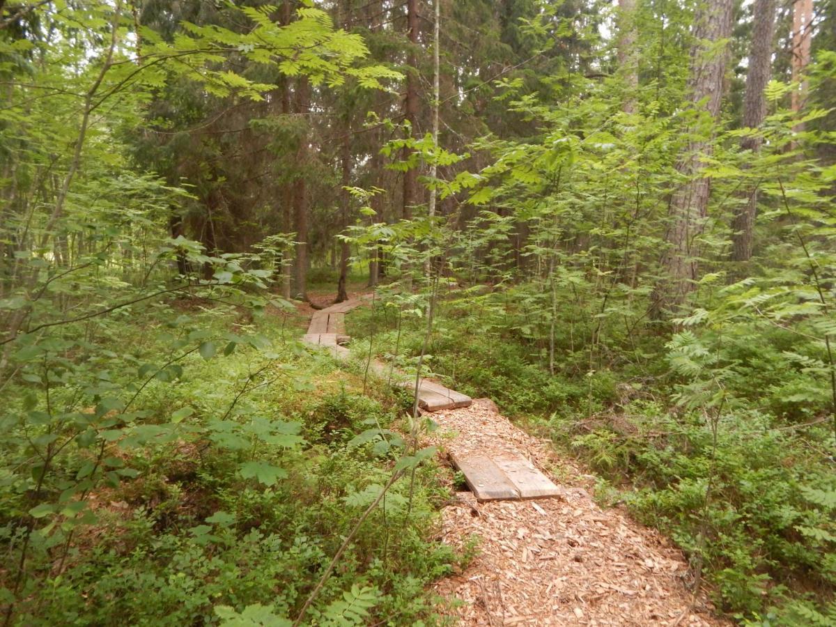 Haaviku Nature Cottage Tepelvalja Buitenkant foto